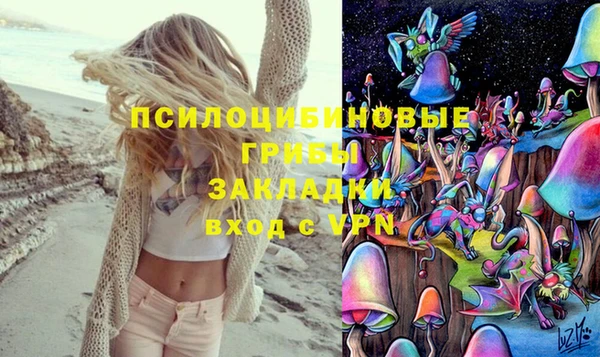 ПСИЛОЦИБИНОВЫЕ ГРИБЫ Верхнеуральск